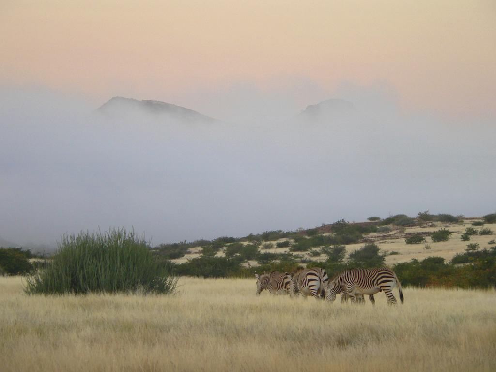 Etendeka Mountain Camp Damaraland Bagian luar foto
