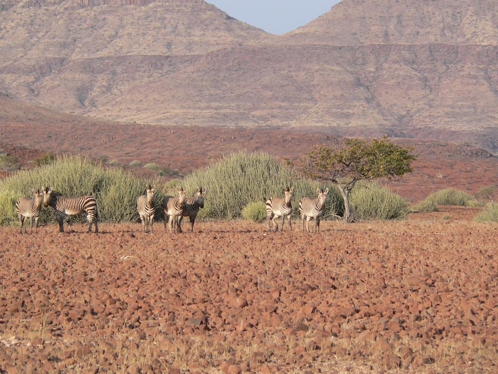Etendeka Mountain Camp Damaraland Bagian luar foto
