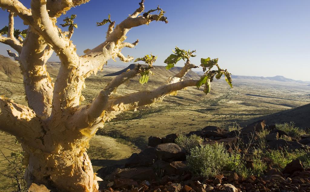 Etendeka Mountain Camp Damaraland Bagian luar foto