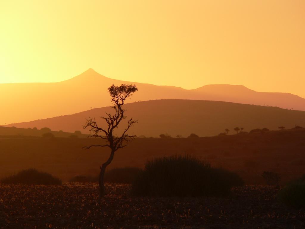 Etendeka Mountain Camp Damaraland Bagian luar foto