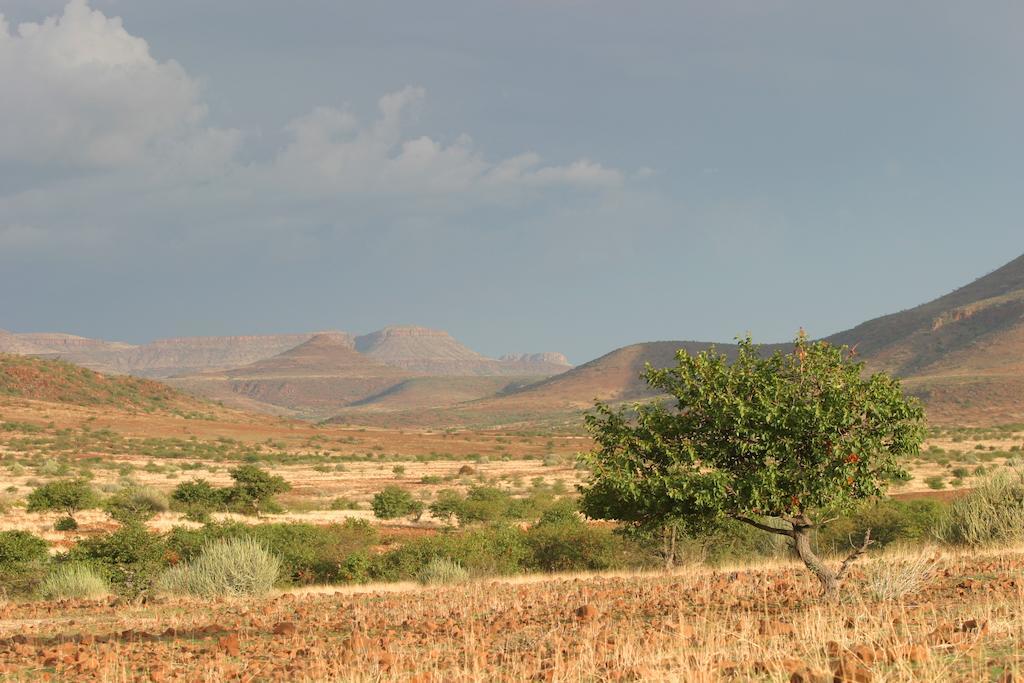 Etendeka Mountain Camp Damaraland Bagian luar foto