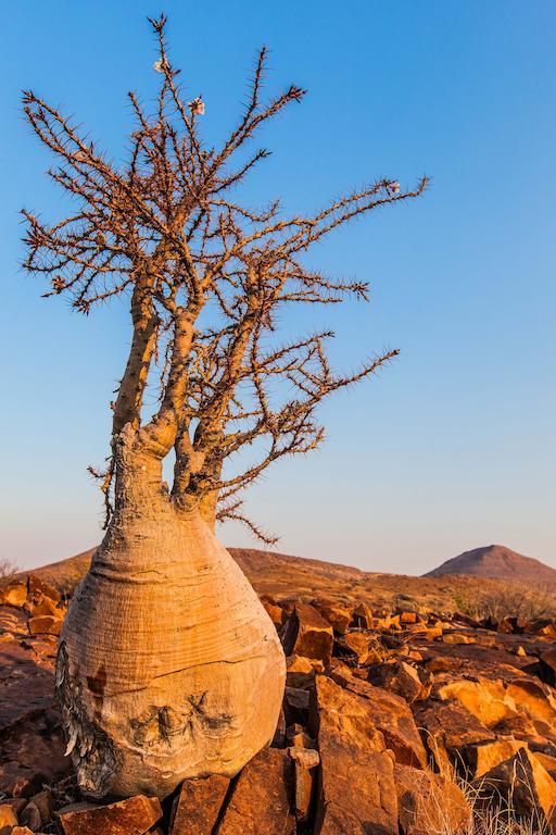 Etendeka Mountain Camp Damaraland Bagian luar foto