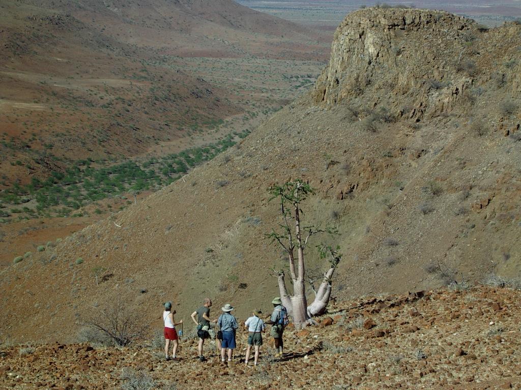 Etendeka Mountain Camp Damaraland Bagian luar foto